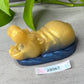 Delta - Hippo Squishy - One Size - Super Soft - 28067