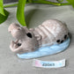 Delta - Hippo Squishy - One Size - Soft - UV - 28069