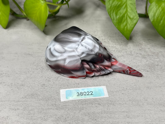 Eugene - Horseshoe Crab Squishy - Medium - Soft - 38022