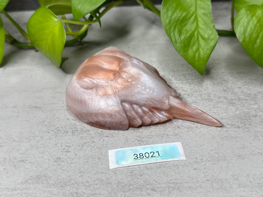 Eugene - Horseshoe Crab Squishy - Medium - Super Soft - 38021