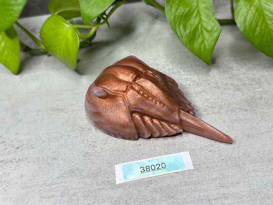 Eugene - Horseshoe Crab Squishy - Medium - Super Soft - 38020