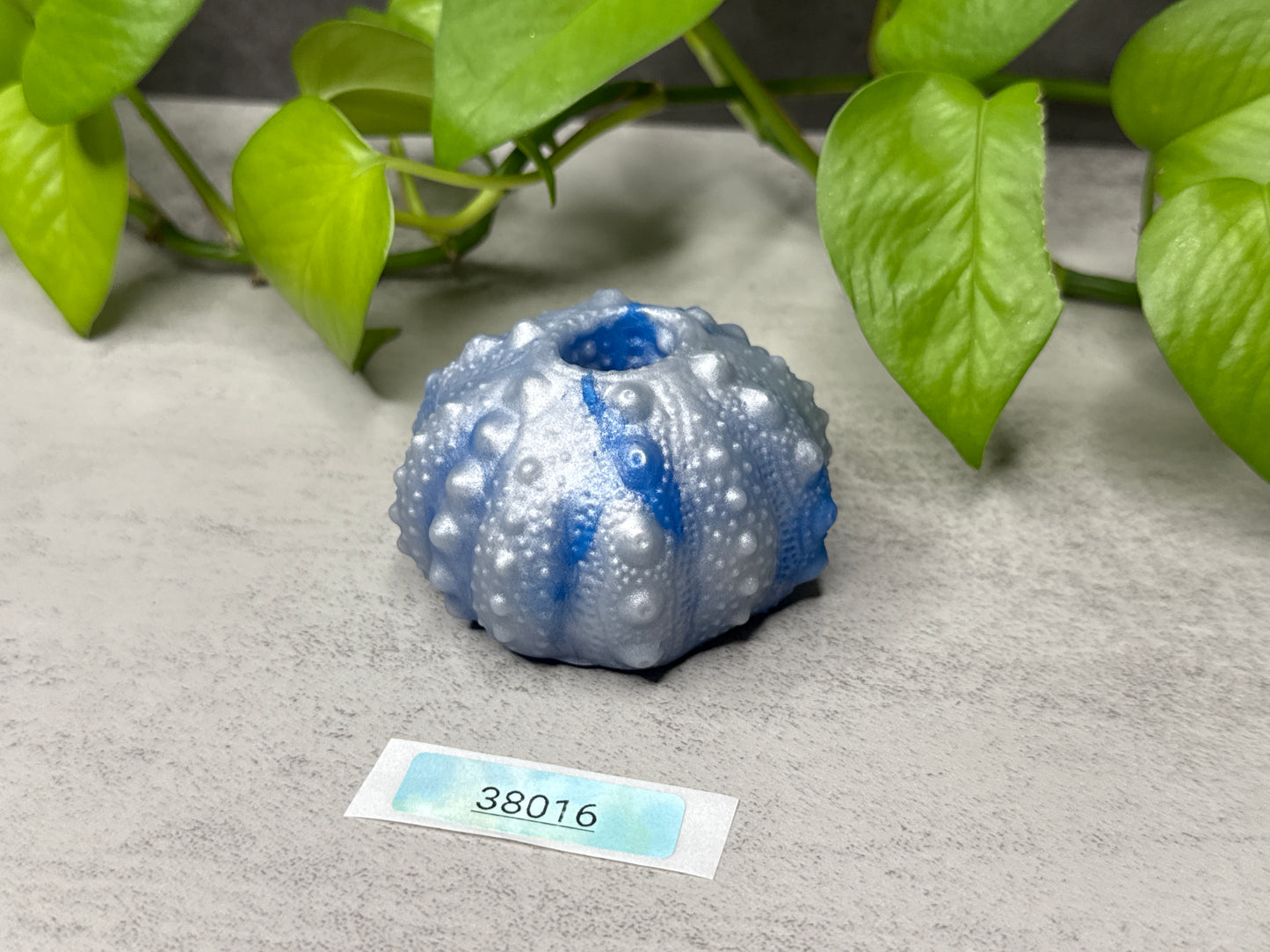 Echinus - Urchin Sucker Mini Penetrable - One Size - Soft - 38016