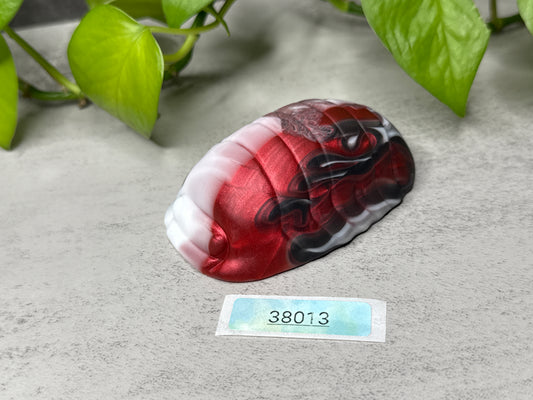 Rollie - Isopod Squish - Medium - Soft - 38013