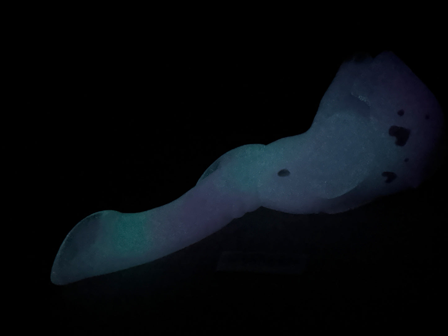 Phanny - Elephant Insertable Dildo Toy - Small - NC45 Medium - UV - GITD - 39046