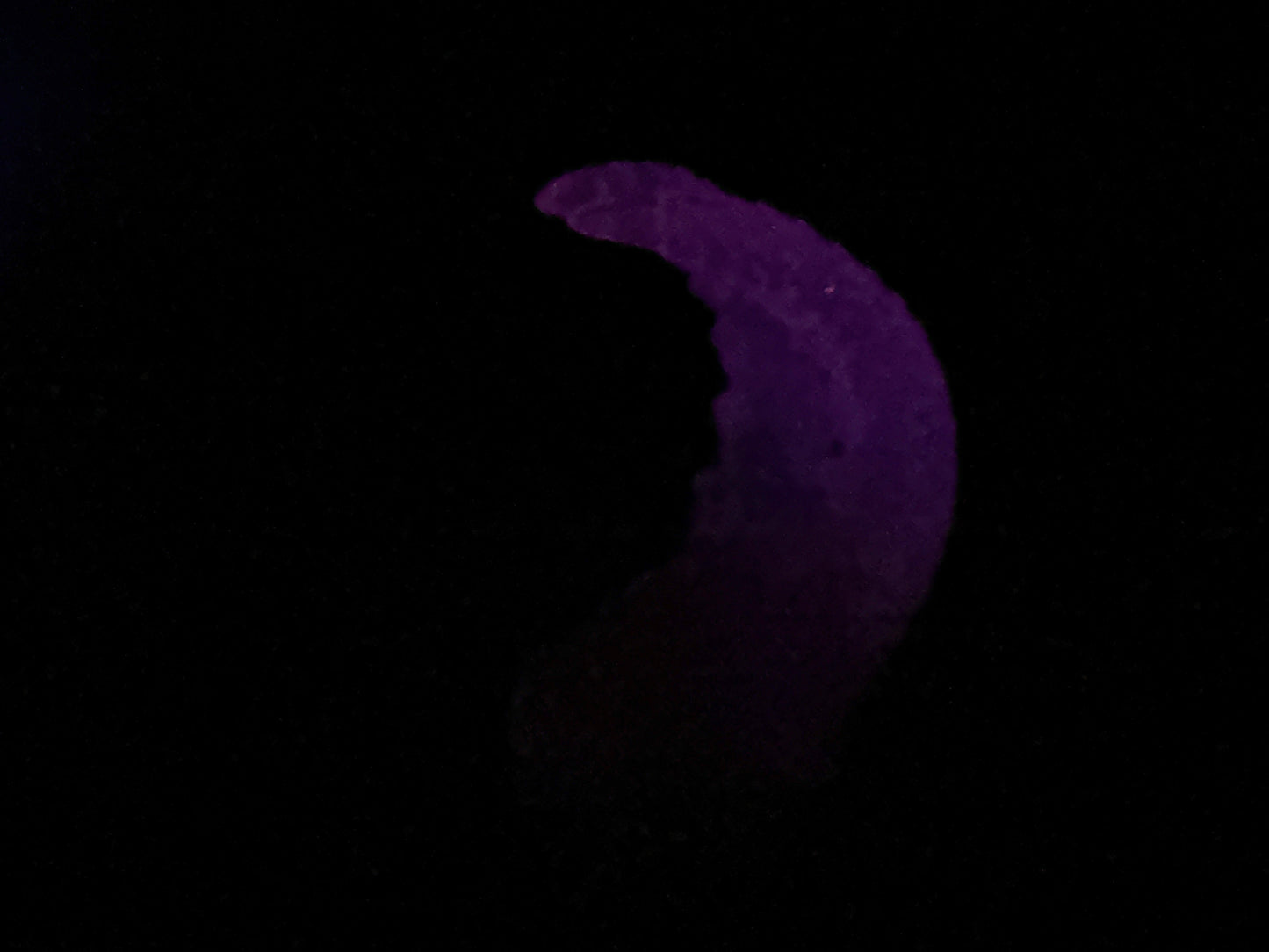 Kariss - Shrimp Insertable Dildo - Small - NC45 Medium - UV - GITD - 39044