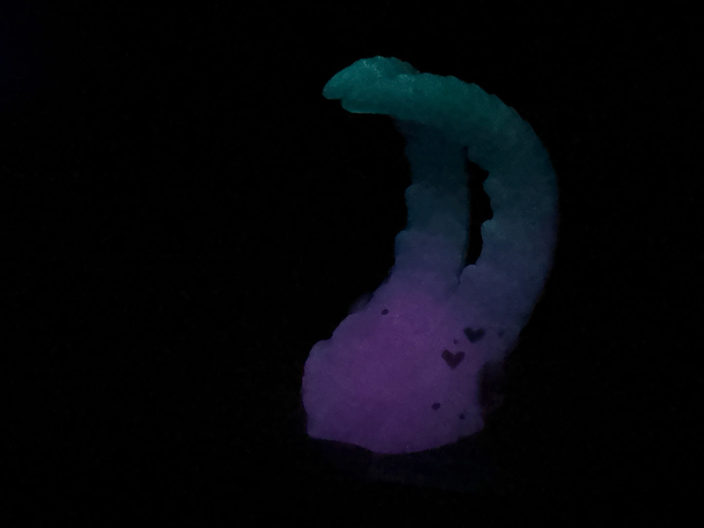 Kariss - Shrimp Insertable Dildo - Small - NC45 Medium - UV - GITD - 39043