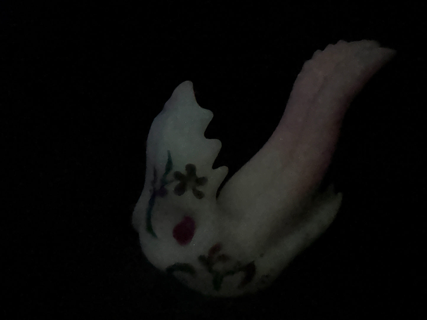 Marrow - Insertable Maw Dildo - Small - Soft - UV - GITD - 39035