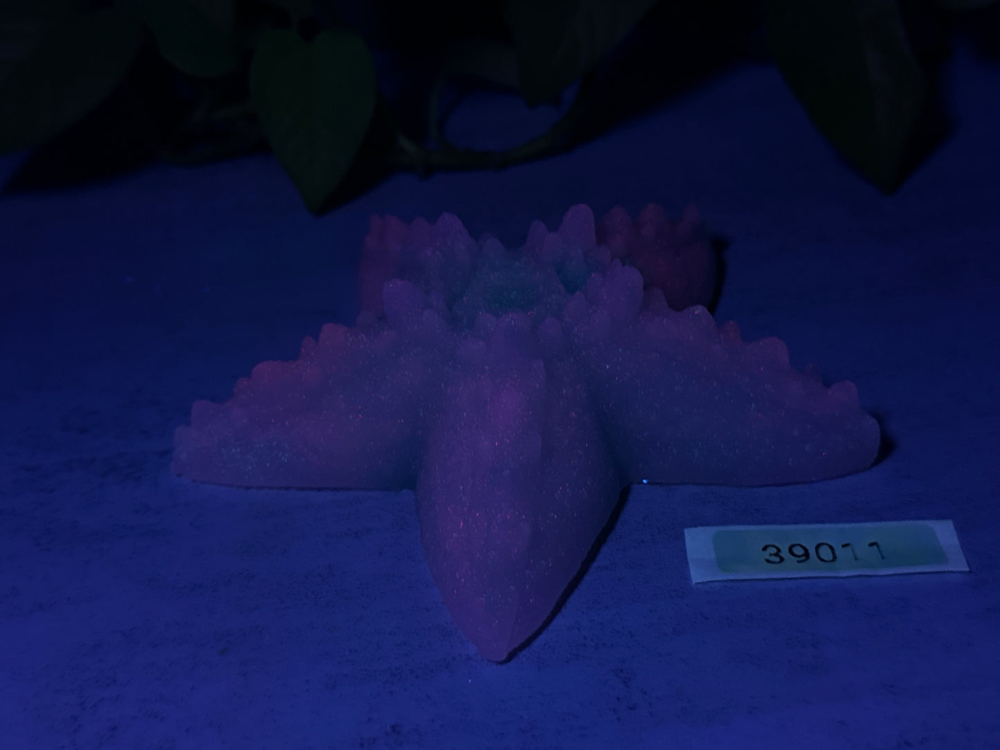 Astrid - Starfish Grinder - Large - NC45 Medium - GITD - 39011