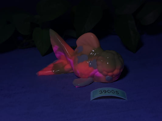 Cheddar - Goldfish Squishy - Medium - Soft - UV - 39005