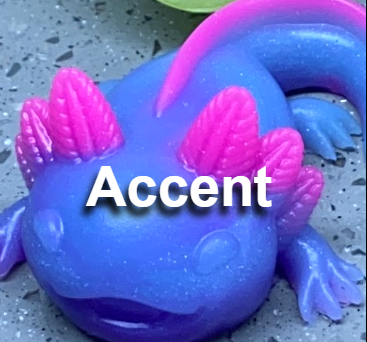 Accent Add-on(+$5)