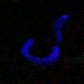 a blue object is glowing in the dark