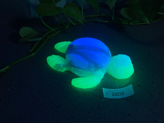 a glowing turtle on the ground next to a plant