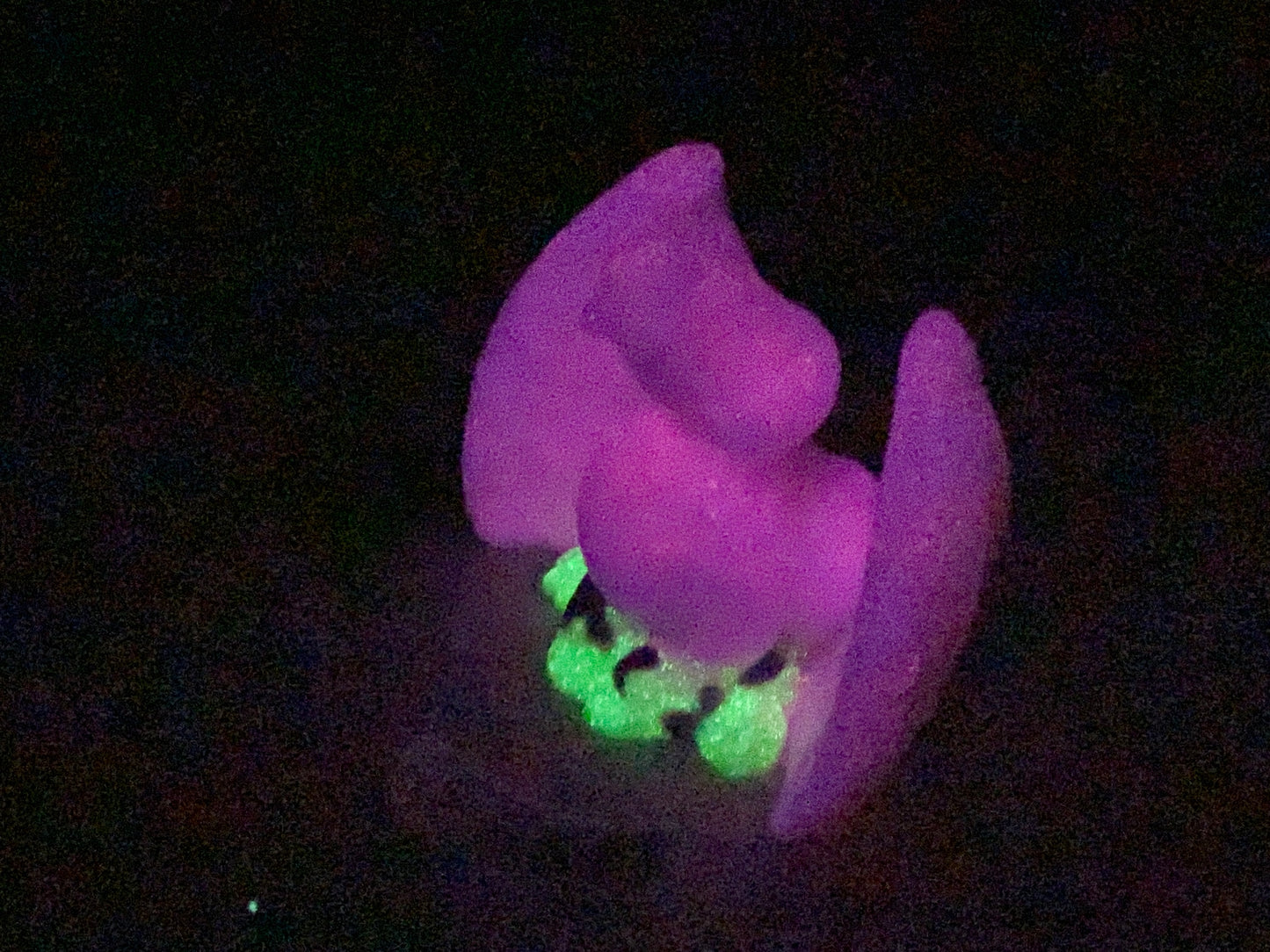 a close up of a stuffed animal in the dark