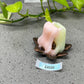 a piece of soap sitting on top of a table next to a plant