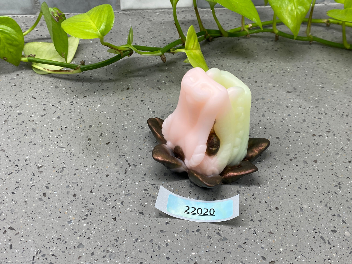 a piece of soap sitting on top of a table next to a plant