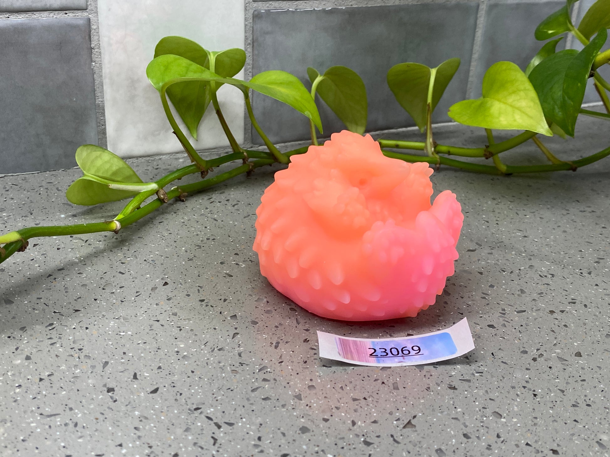 a soap ball sitting on top of a counter next to a plant