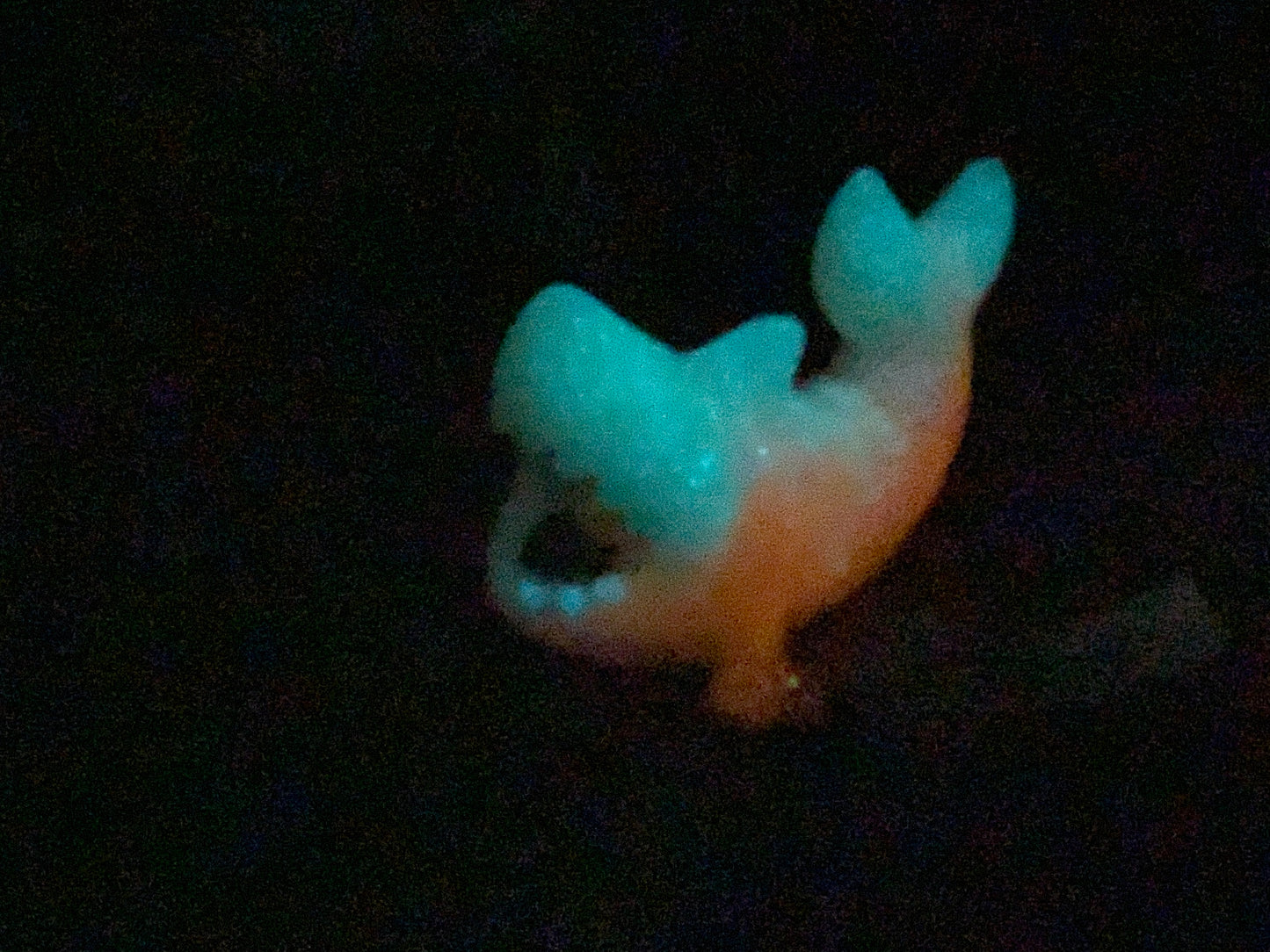 a close up of a piece of food in the dark