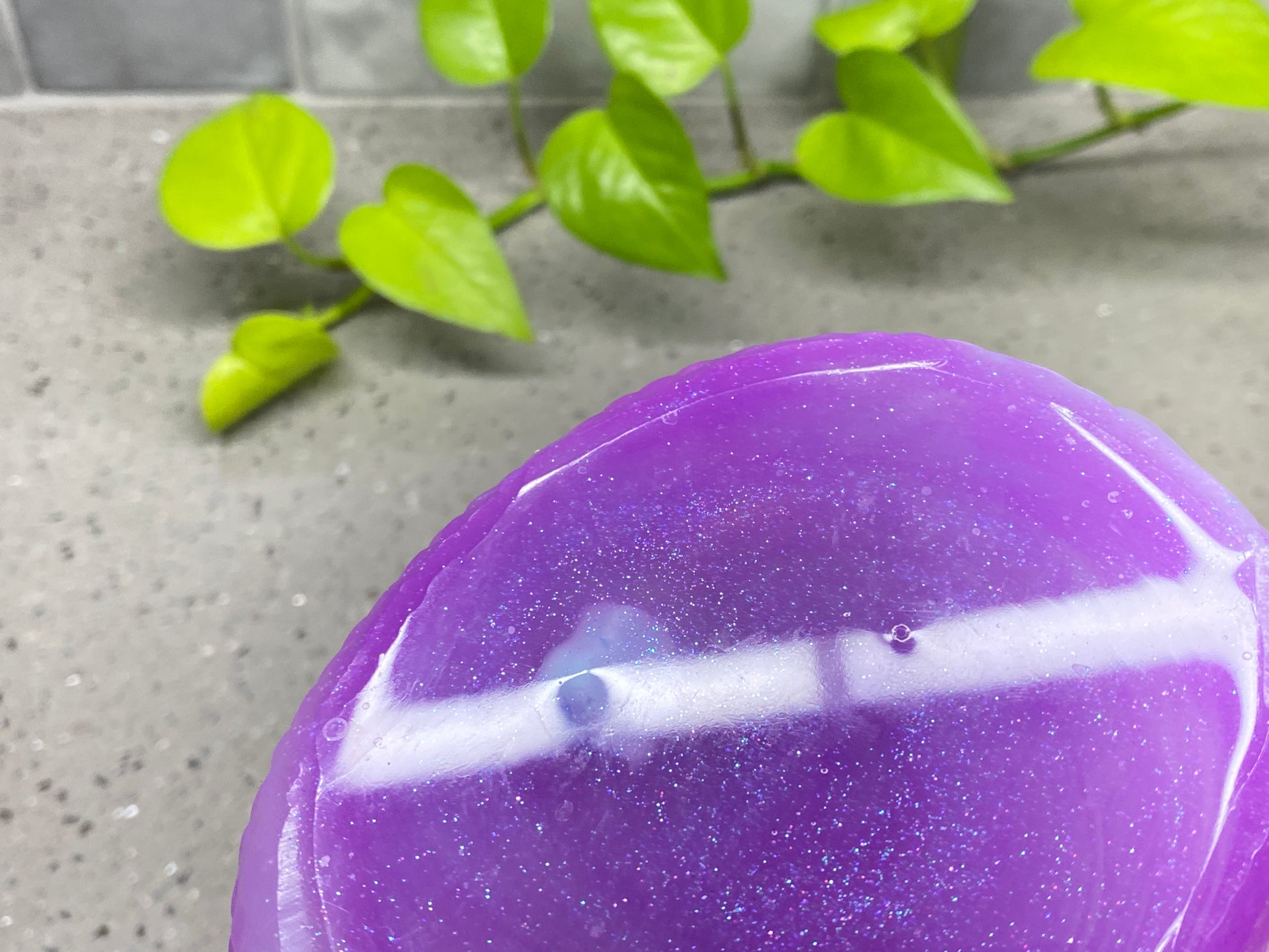 a close up of a purple frisbee with a plant in the background