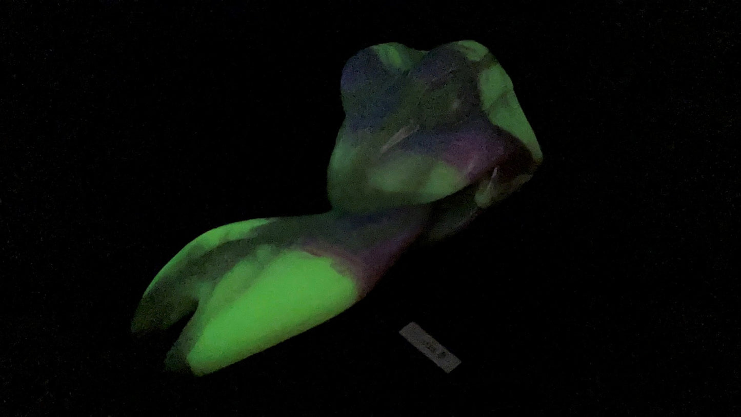 Jeremiah - Frog Toy Medium Medium UV GITD 1123