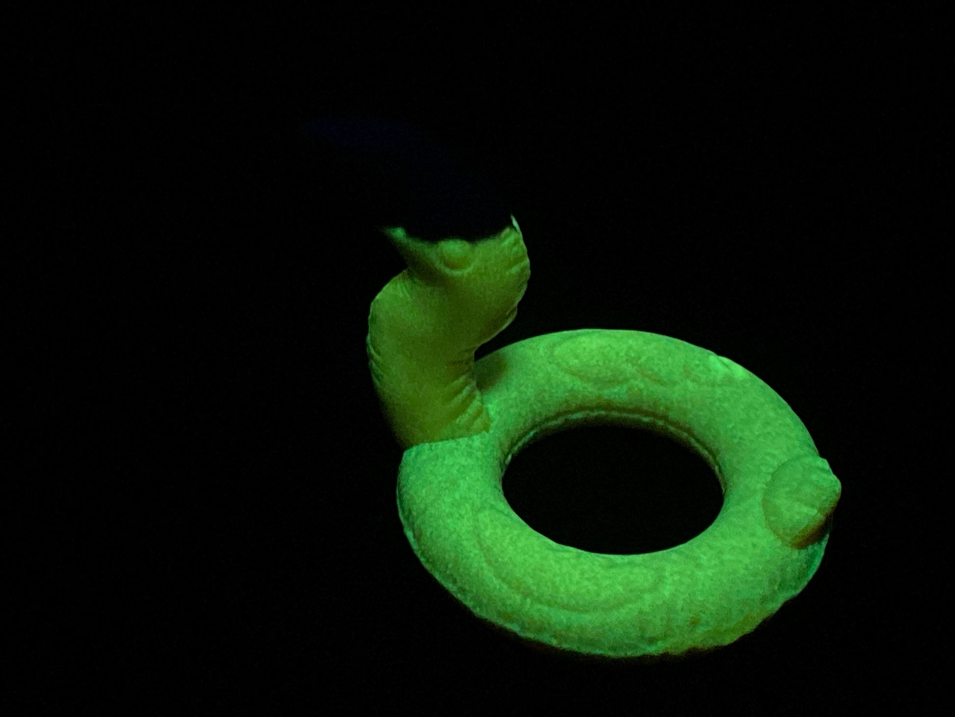 a green ring with a black background