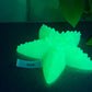 Flop Astrid - Starfish Grinder Squishy Large NC0031 Soft UV 4020
